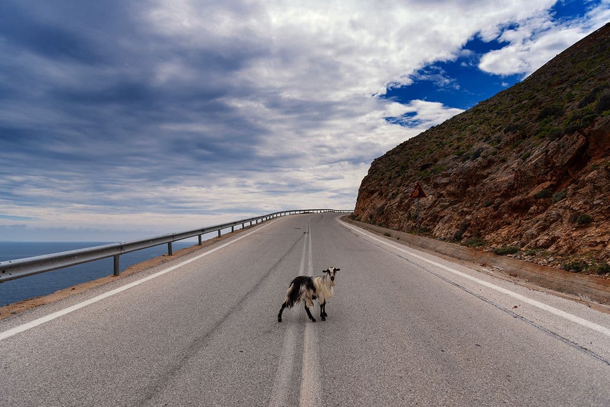 Crete Airport Chania