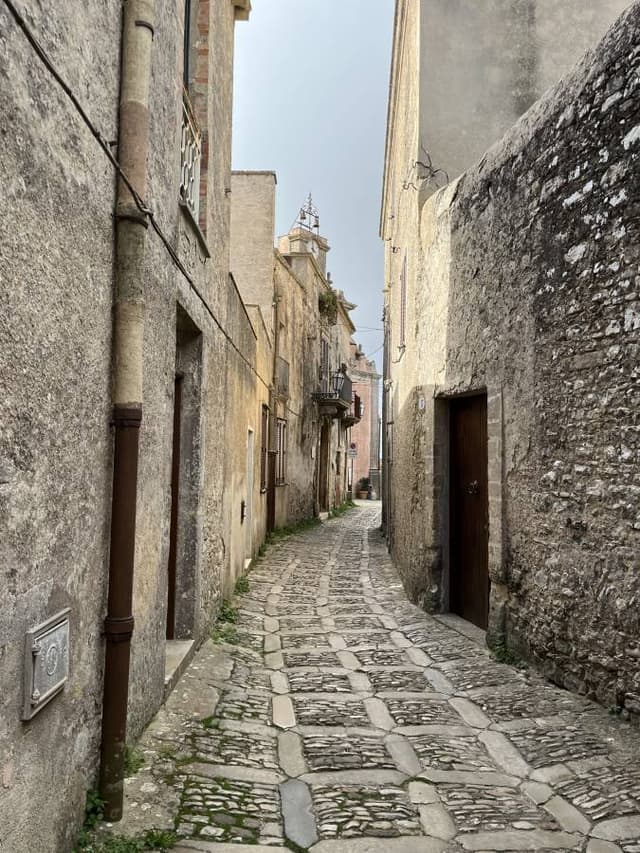 Photo 1 by Tereza B. (10/13/24)