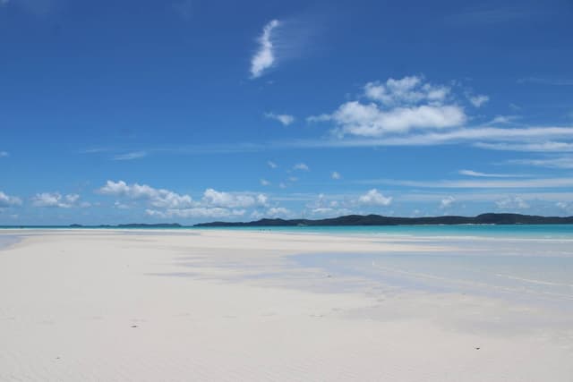 Photo 1 by Thomas P. (12/4/24)