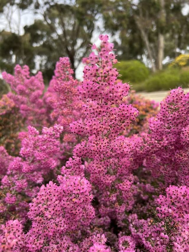 Photo 1 by Dan C. (6/19/24)