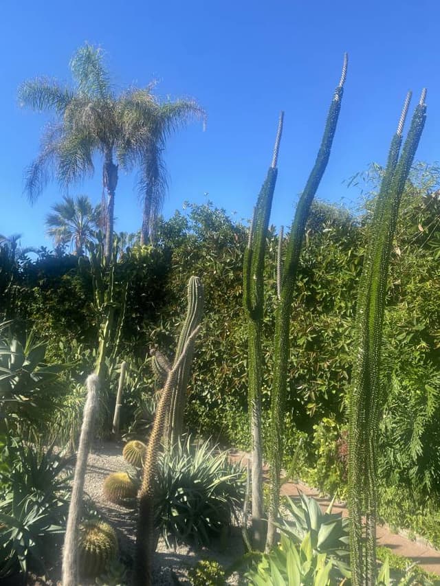 Photo 1 by Roger M. (11/12/24)