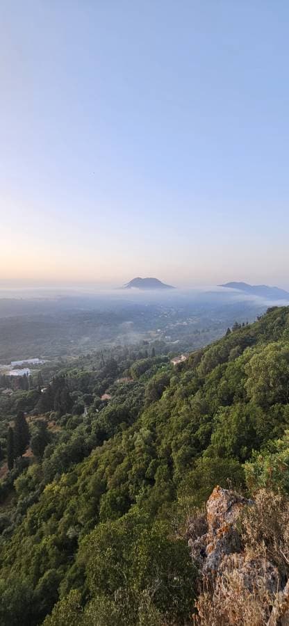 Photo 1 by Dmitry V. (6/28/24)