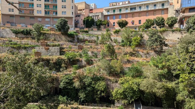 Photo 1 by Adriel D. (8/25/24)