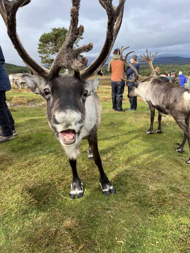 Photo 1 by Lauren R. (10/13/24)