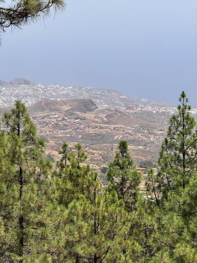 Photo 1 by Peter Asger G. (8/19/25)