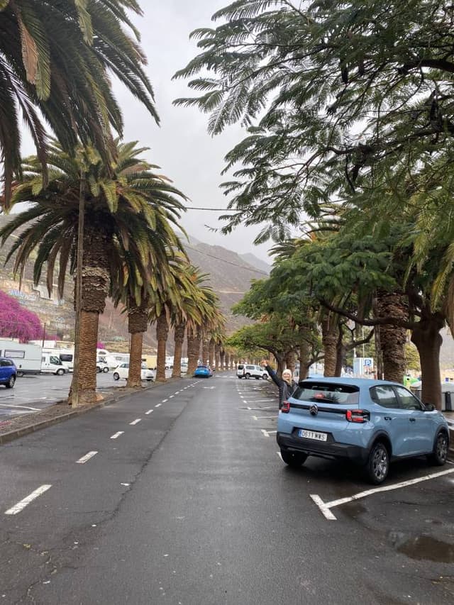 Photo 1 by Magdalena B. (2/22/25)