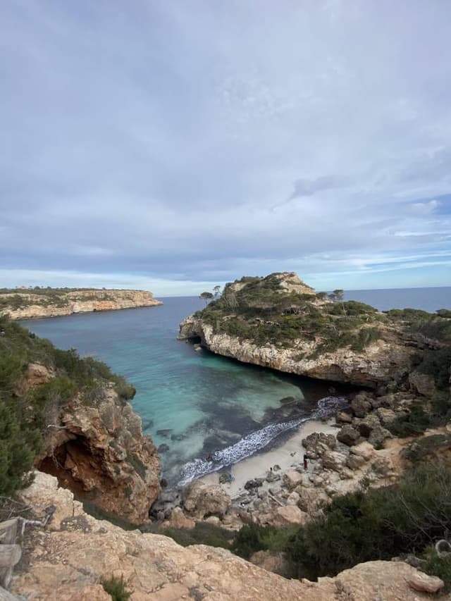 Photo 1 by Lisa S. (4/3/24)