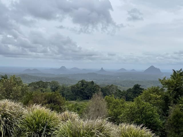 Photo 1 by Peminda J. (12/2/23)