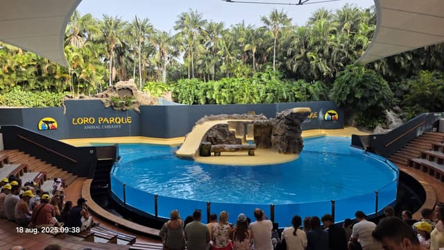 Photo 1 by Mihai Gavril I. (8/24/25)