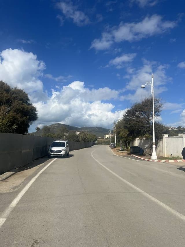 Photo 1 by Basman mohammed hadi A. (3/20/25)