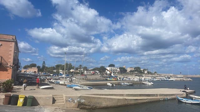 Photo 1 by Oleksandr V. (10/13/24)