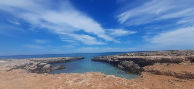 Photo 1 by Bartosz F. (4/21/25)