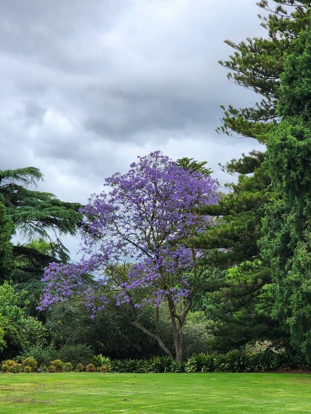 Photo 1 by Teng Hong T. (12/17/23)