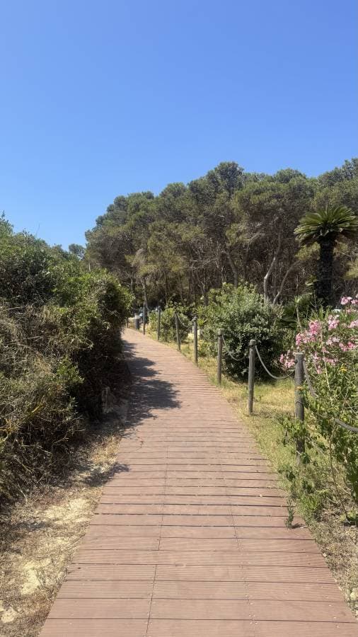 Photo 1 by David H. (6/26/25)