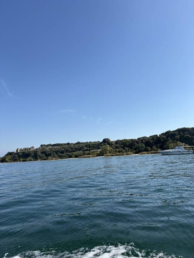 Photo 1 by Laura F. (10/12/25)