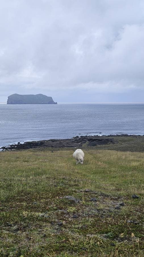 Photo 2 by Milos M. (7/17/25)