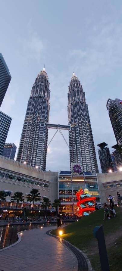 Photo by Chi Ming T. (1/30/24)