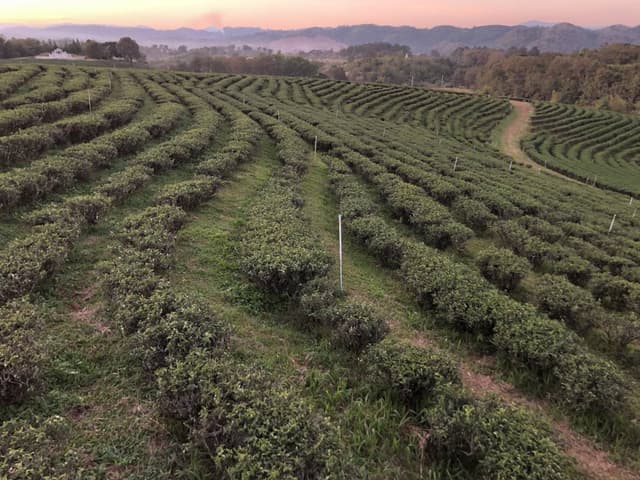 Photo by Teck Kim L. (1/9/23)