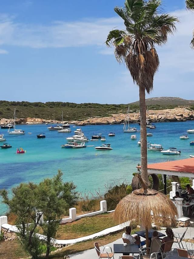 Photo 1 by Anton N. (7/31/23)