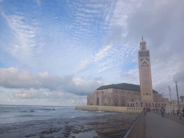 Photo 1 by Gregor C. (2/28/24)