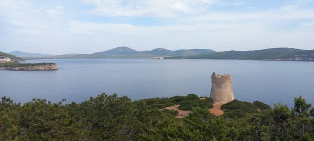 Photo 1 by Rafael S. (12/24/23)