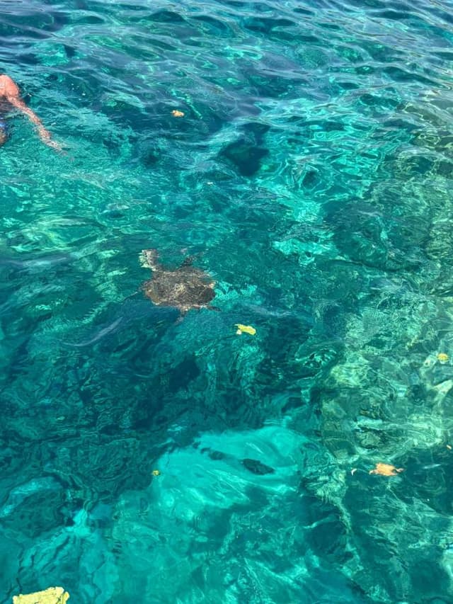 Photo 1 by luca P. (8/25/25)