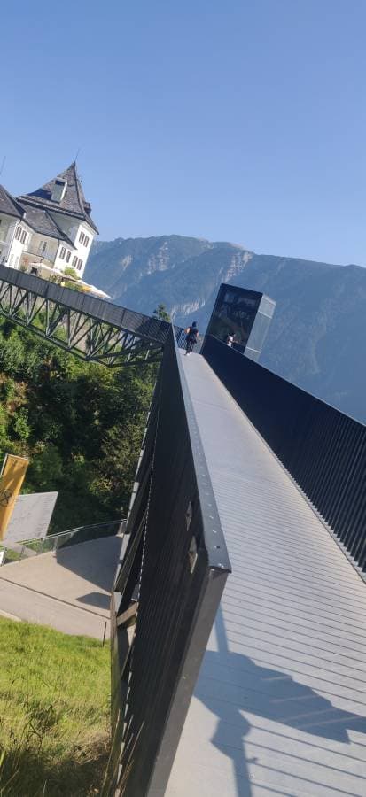 Photo 1 by vincent T. (9/15/23)