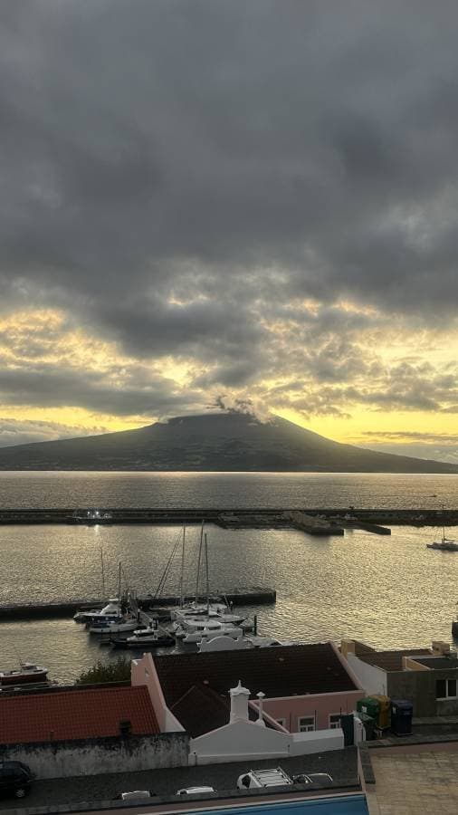 Photo 1 by Jorge B. (11/24/25)