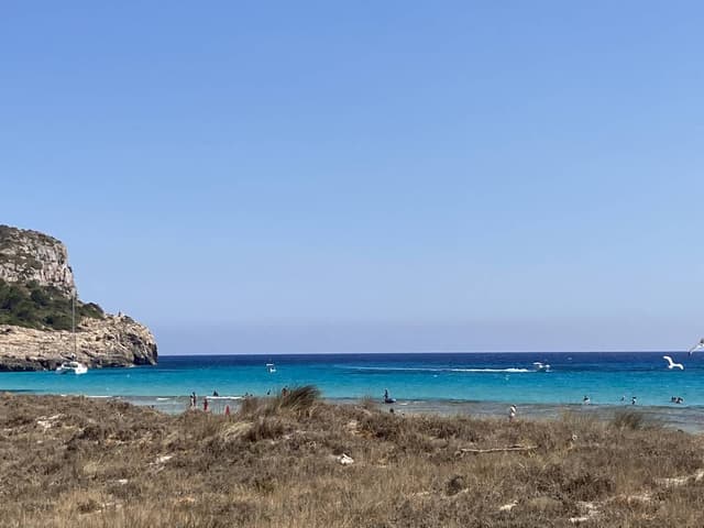 Photo 1 by Paulina K. (7/27/22)