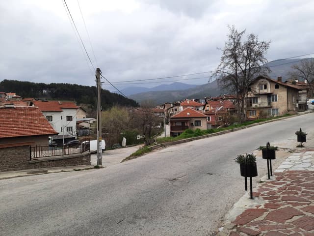 Photo by Nikoleta M. (4/21/23)