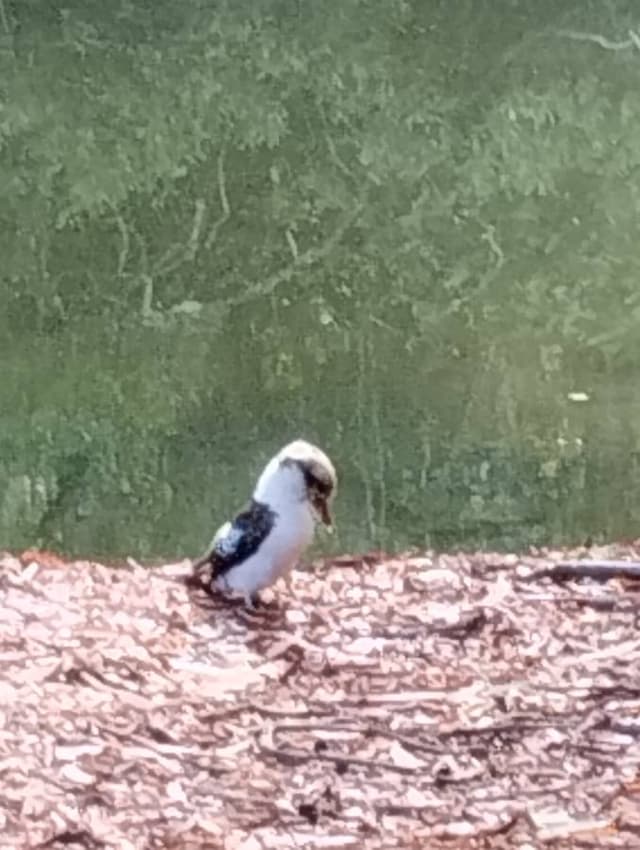 Photo 1 by Michael B. (4/22/24)