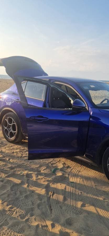 Photo by Aurelija P. (11/11/24)