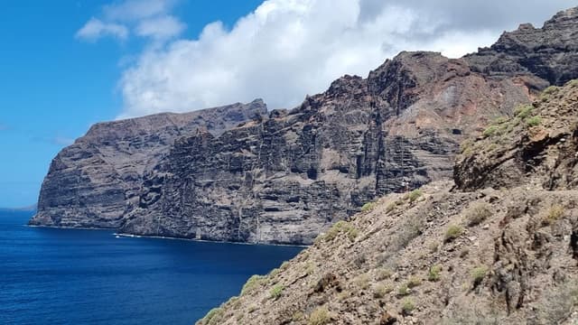 Photo 1 by ZIVILE K. (4/4/25)