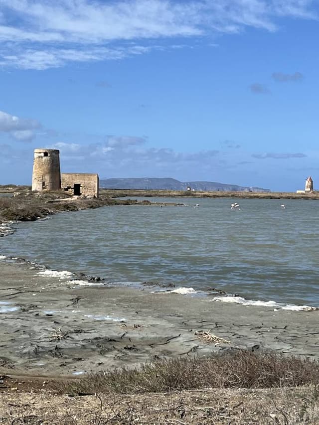 Photo 2 by Tereza B. (10/13/24)