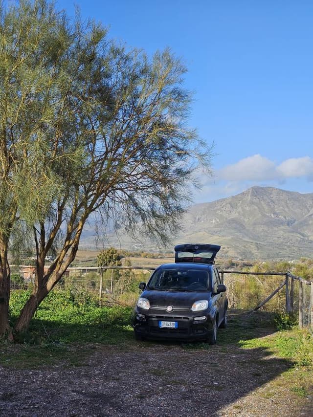 Photo 1 by Alexandru L. (1/6/26)