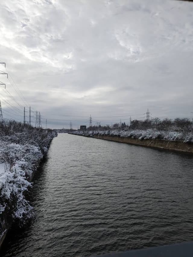 Photo 1 by Sandra D. (12/11/23)