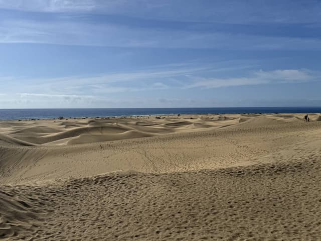 Photo 1 by Mark A. (5/27/25)