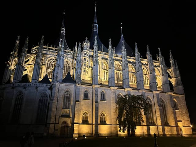 Photo 1 by Bo H. (10/22/23)