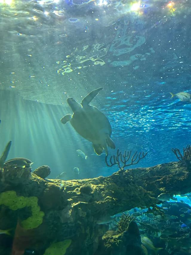 Photo 1 by Danielle O. (7/26/23)