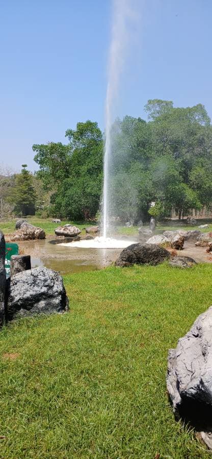 Photo 1 by steven M. (3/22/26)