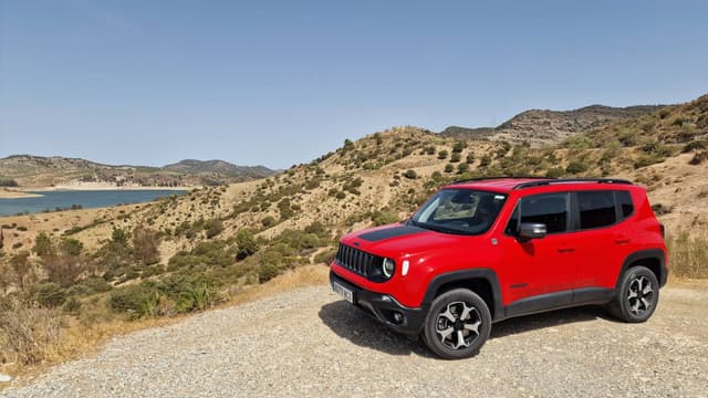 Photo 1 by Marius B. (9/21/24)