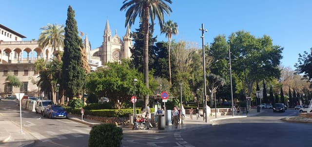 Photo 1 by Doychin D. (4/19/24)