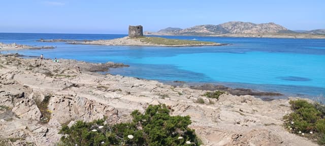 Photo 1 by Giorgio L. (5/27/25)