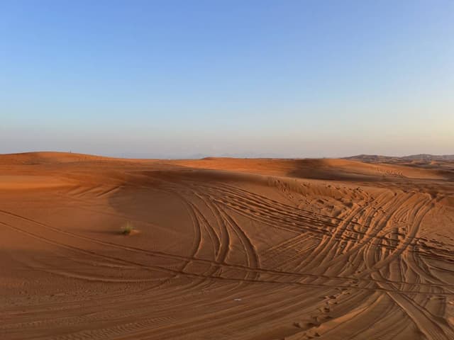 Photo 1 by Tomasz Z. (11/30/23)