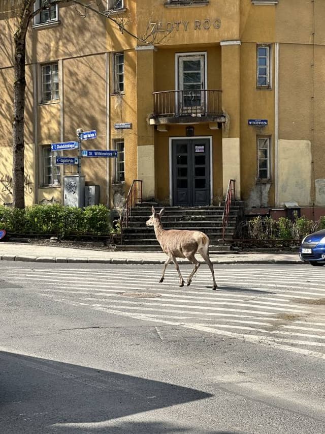 Photo 1 by Jaroslaw J. (5/26/23)