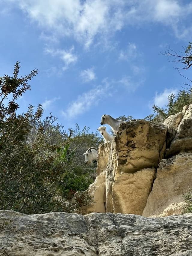 Photo 2 by Roberto C. (3/14/26)