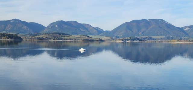 Photo 1 by dorine B. (10/24/24)