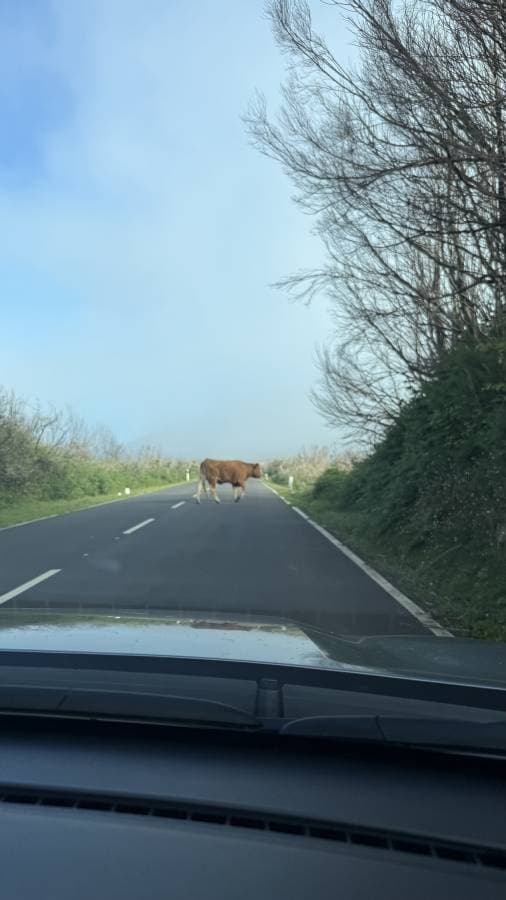 Photo 1 by Martha K. (6/28/25)