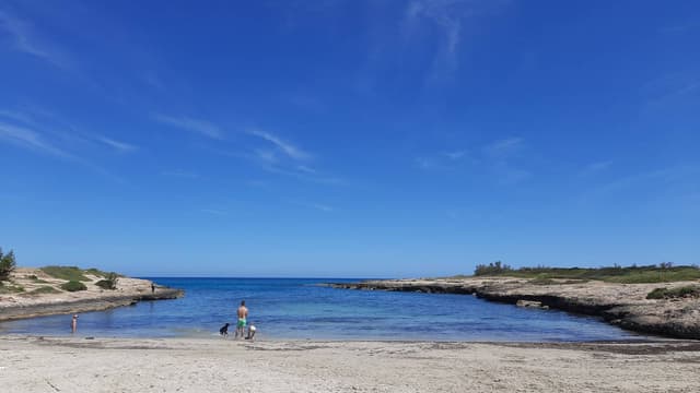 Photo 2 by Bartosz F. (4/21/25)