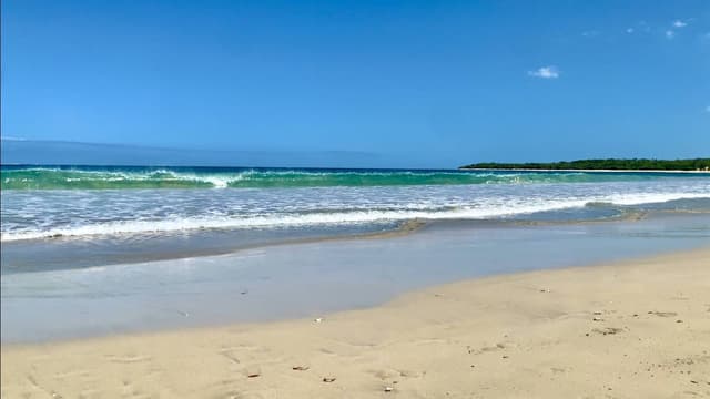 Photo by Mandy D. (9/20/25)